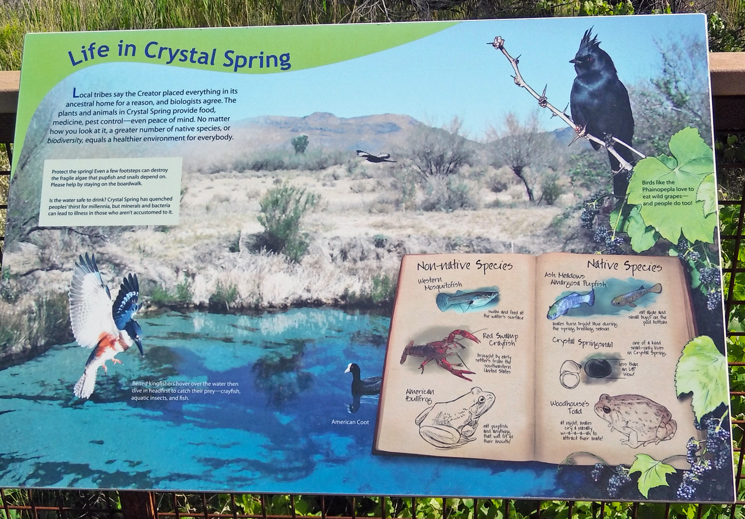 sign describing Life in Crystal Spring