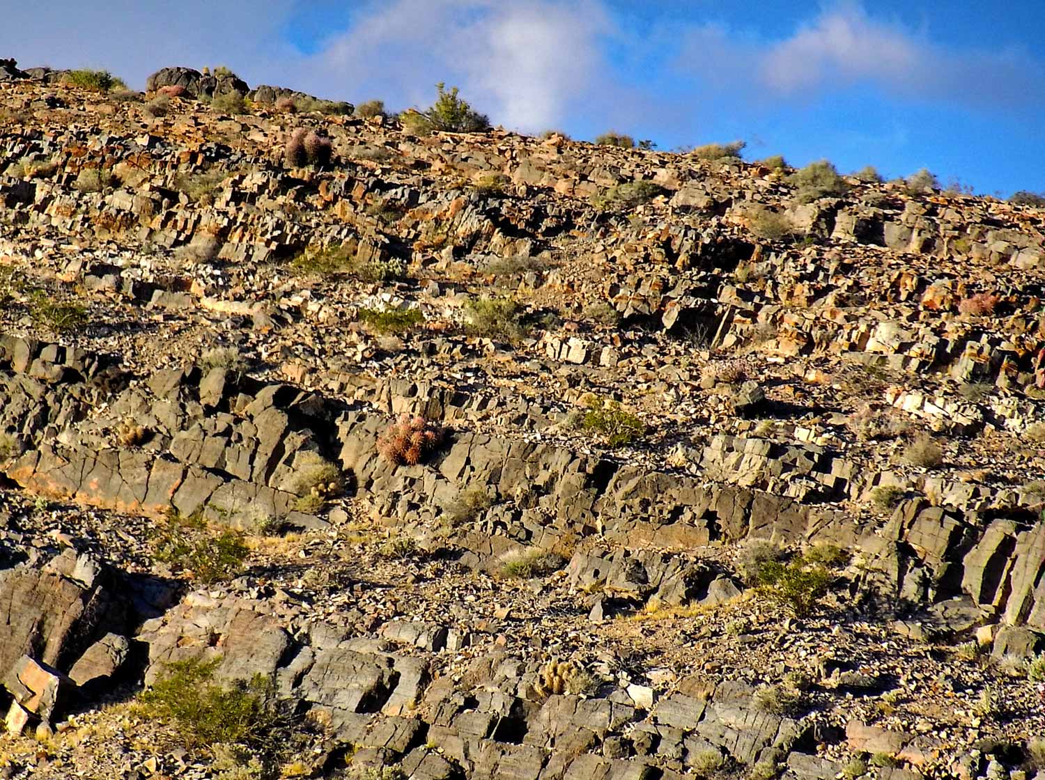 Ridge of rocks